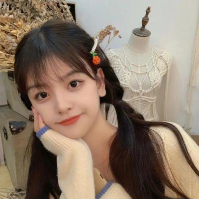 汪汪队立大功第八季